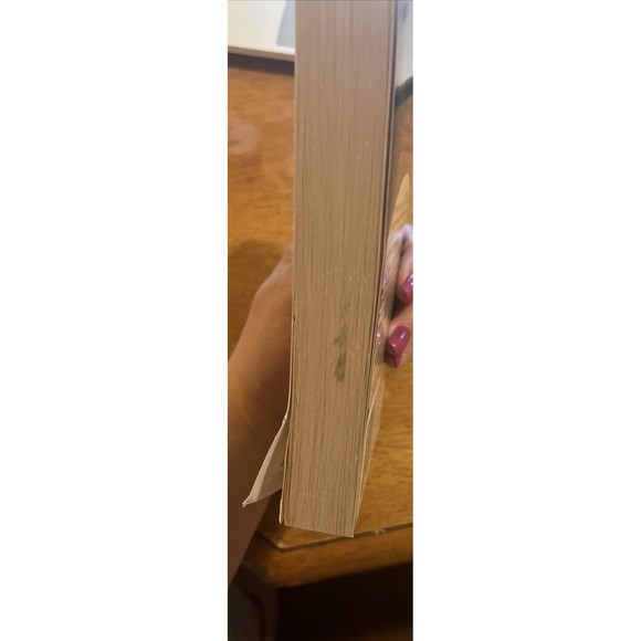 The Adventures of Tom Sawyer and the Undead by Mark Twain and Don Borchert, book - Picture 4 of 4